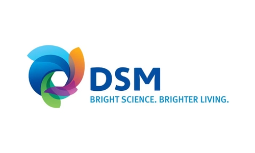 DSM